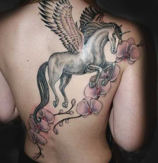 Bela tatuagem que a menina nas costas - um unicórnio e orquídea