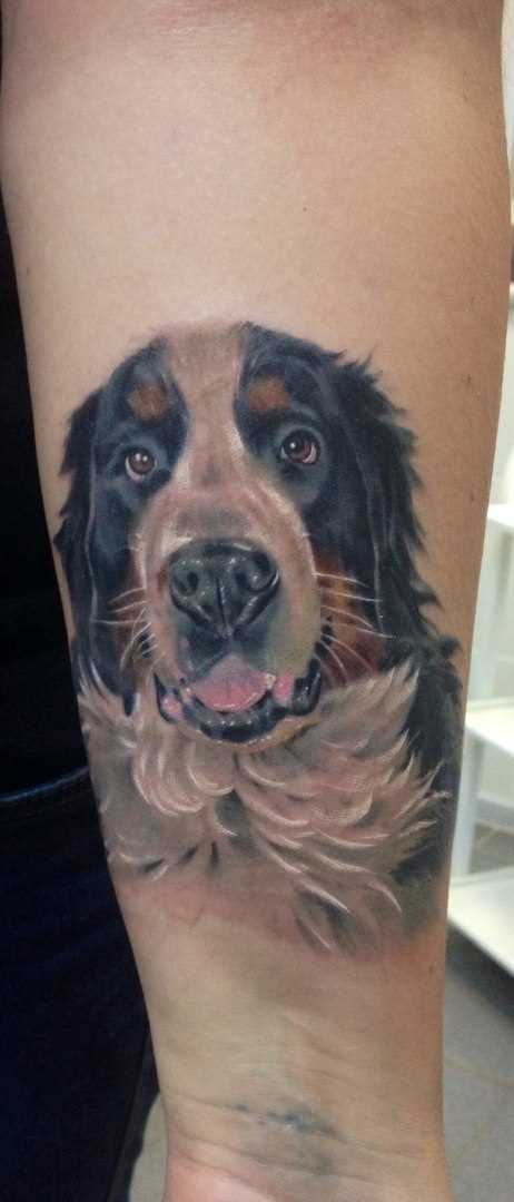 Cão - tatuagem no antebraço cara