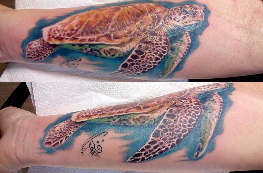 Color tattoo da tartaruga no antebraço da menina