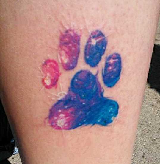 Color tattoo na perna da menina - pata