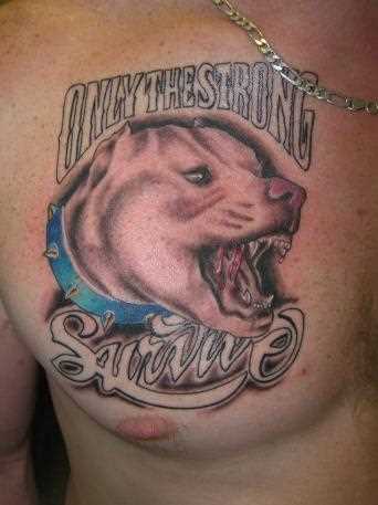 Cores de tatuagem no peito de um cara em forma de cão
