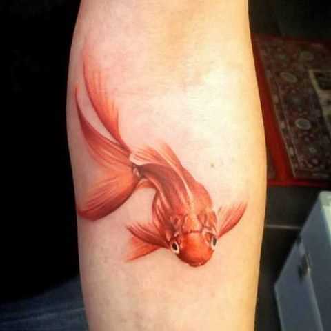 Cores de tatuagem peixinho no antebraço da menina