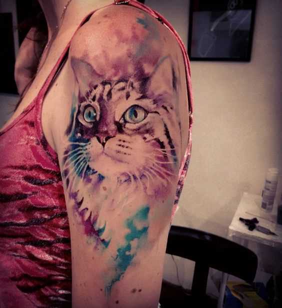 Fotos de tatuagem de gato no estilo aquarela no ombro da menina