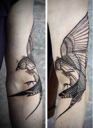Fotos de tatuagem de um pássaro no estilo gráfico no cotovelo do cara