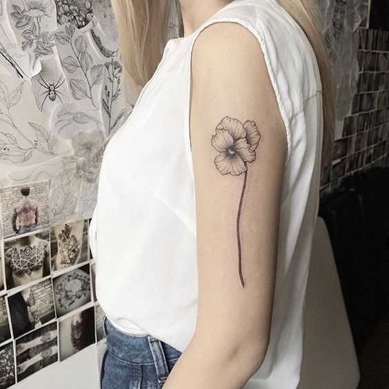 Fotos de tatuagem de violeta no ombro da menina