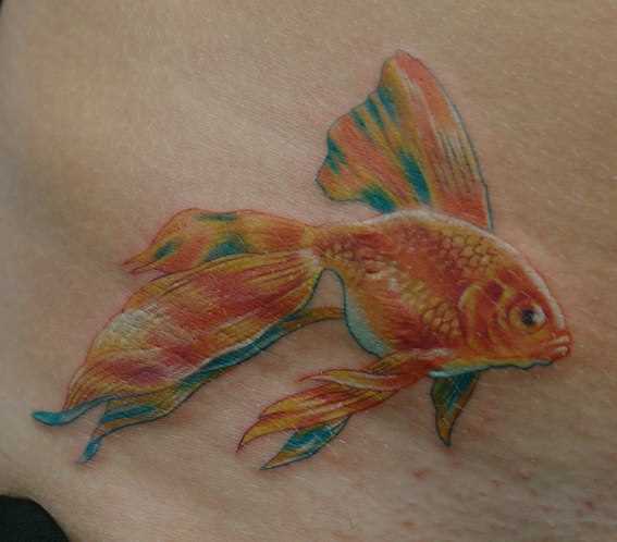 Goldfish - tatuagem na barriga da menina