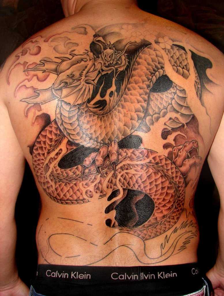 Grande tatuagem nas costas do cara - de- dragão
