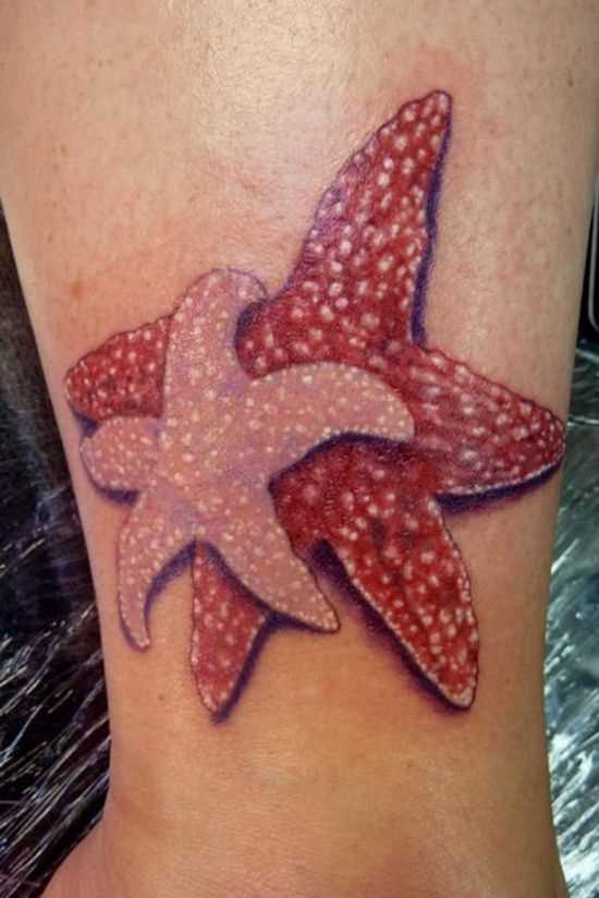 Imagem de estrelas do mar sobre a perna da menina