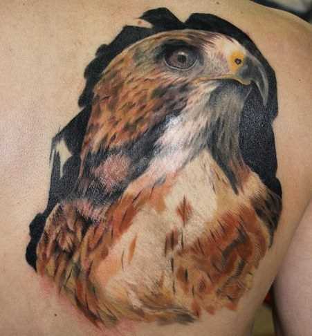 Legal a tatuagem falcão blade homens