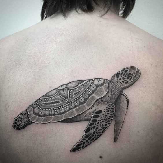 Linda tatuagem de tartaruga nas costas da menina