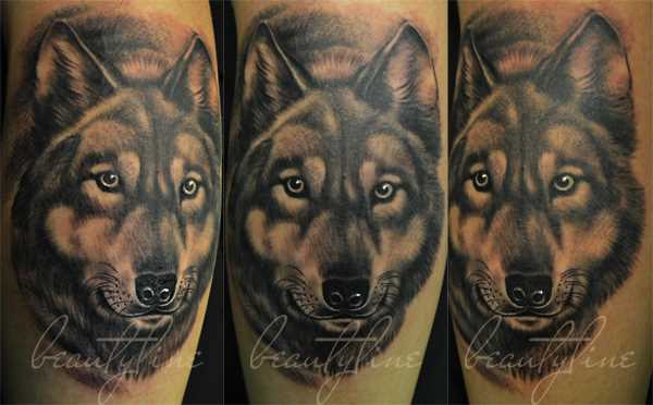 O cão - a tatuagem na perna do cara