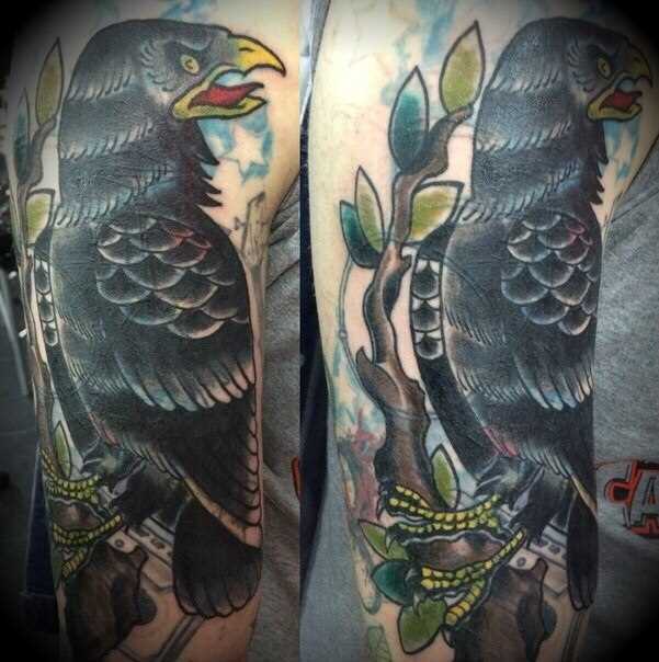 O corvo - a tatuagem no braço de um cara