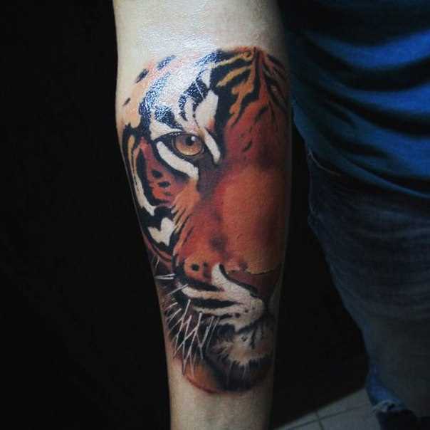 O tigre - de tatuagem no antebraço cara