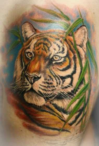O tigre na grama - tatuagem no ombro do cara
