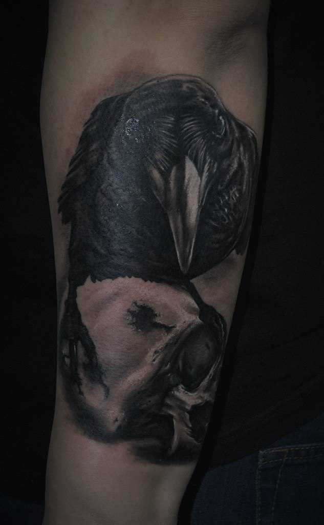 Preto corvo tatuagem que tem no braço do cara