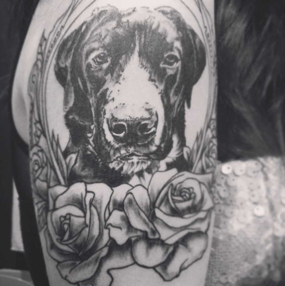 Preto-e-branco de uma tatuagem de uma menina no ombro - o cão e a rosa