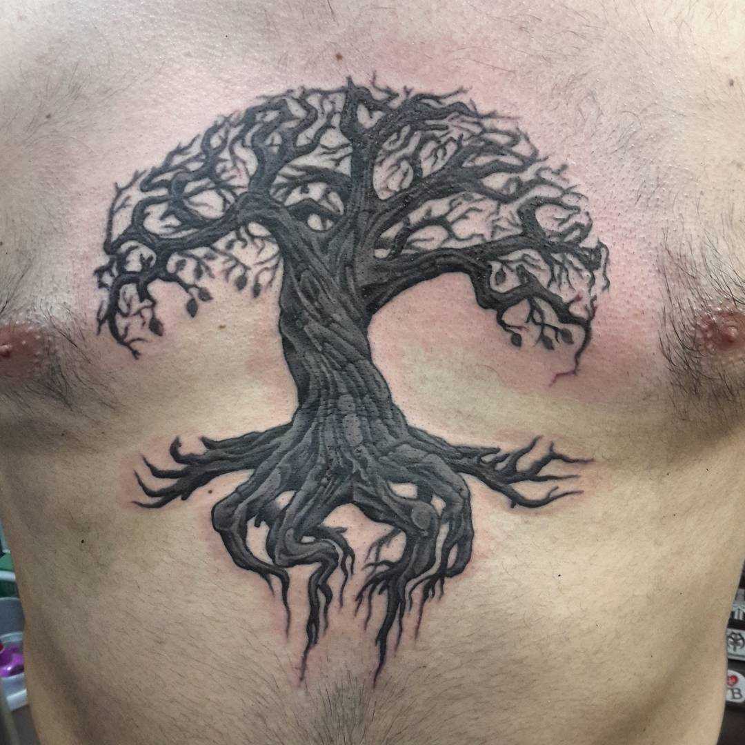 Tatirovka no peito de um cara - a árvore da vida Iggdrasil