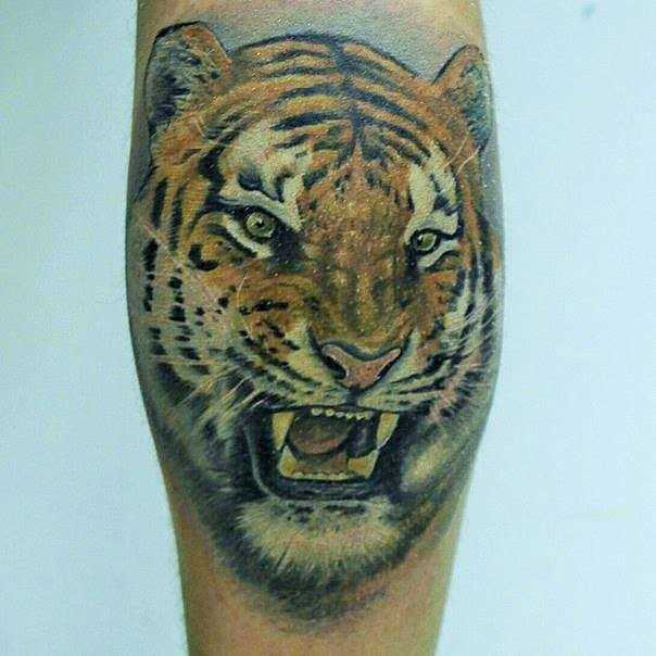 Tatirovka sobre a perna de um cara - de- tigre