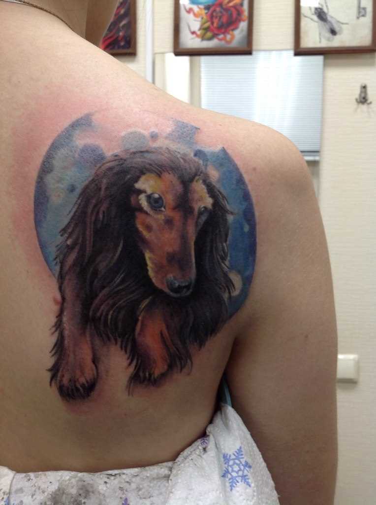 Tattoo blade a menina - cão