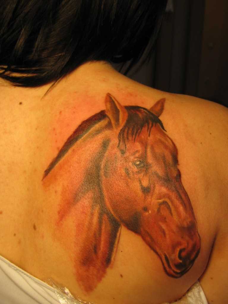 Tattoo blade a menina - cavalo