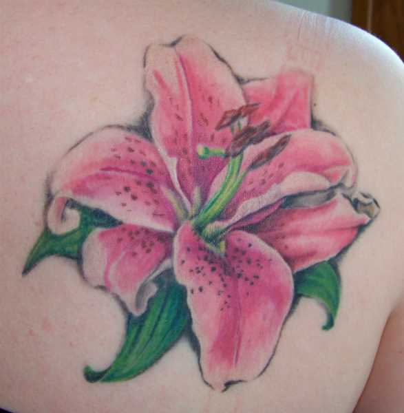 Tattoo blade a menina - cor-de-rosa do lírio