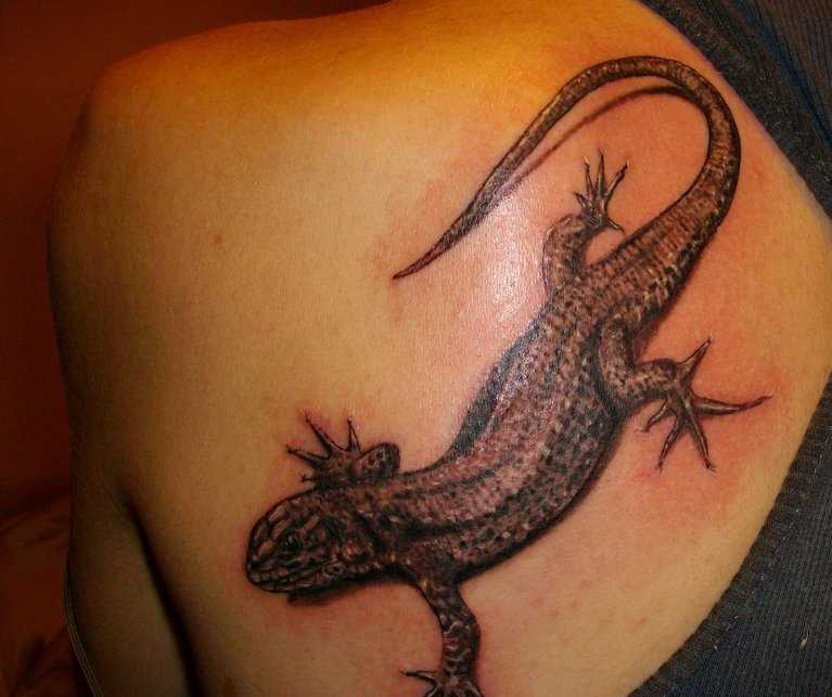 Tattoo blade a menina em forma de lagarto