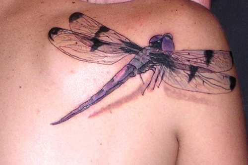 Tattoo blade a menina - libélula