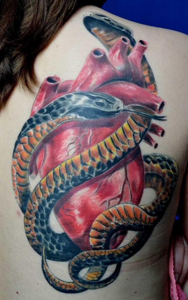 Tattoo blade a menina o coração e a cobra