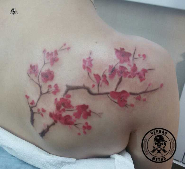 Tattoo blade a menina - sakura