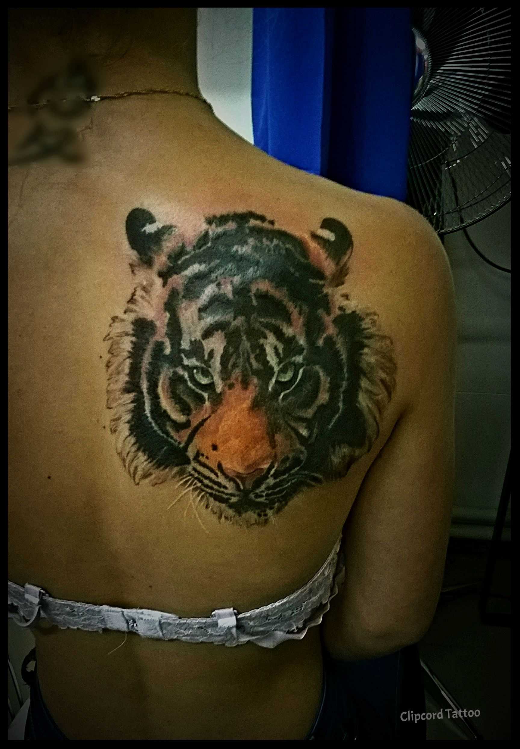Tattoo blade a menina - tigre