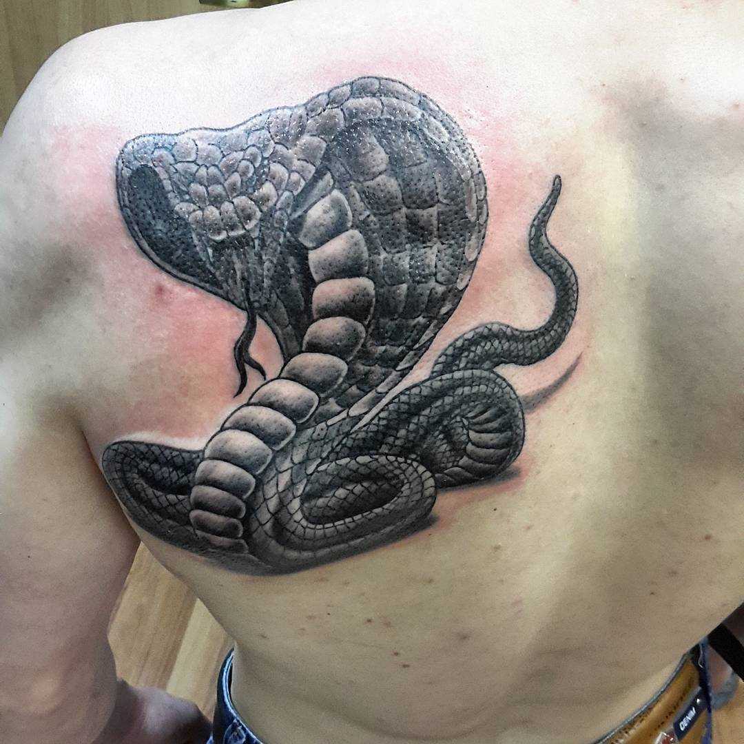 Tattoo blade cara - de- cobra
