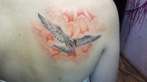 Tattoo blade meninas - gaivota