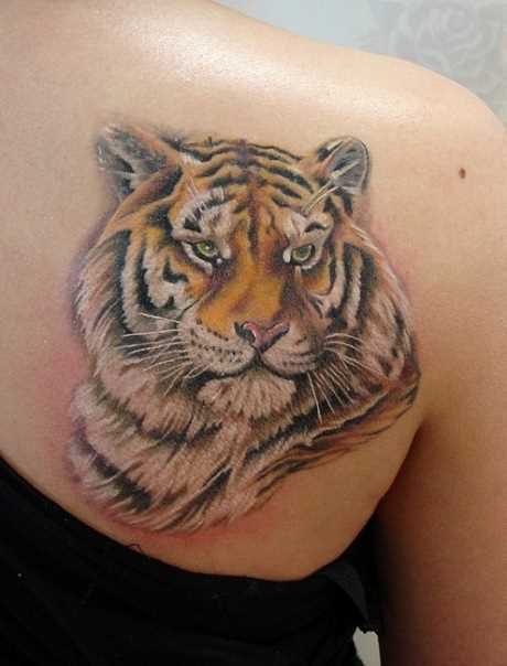 Tattoo blade meninas - tigre