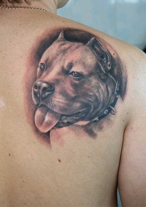 Tattoo blade o cara - de- cão