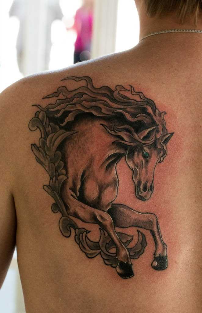 Tattoo blade o cara - de- cavalo