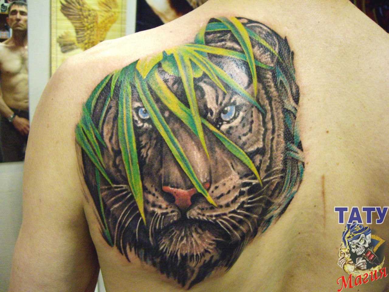 Tattoo blade o cara - de- tigre