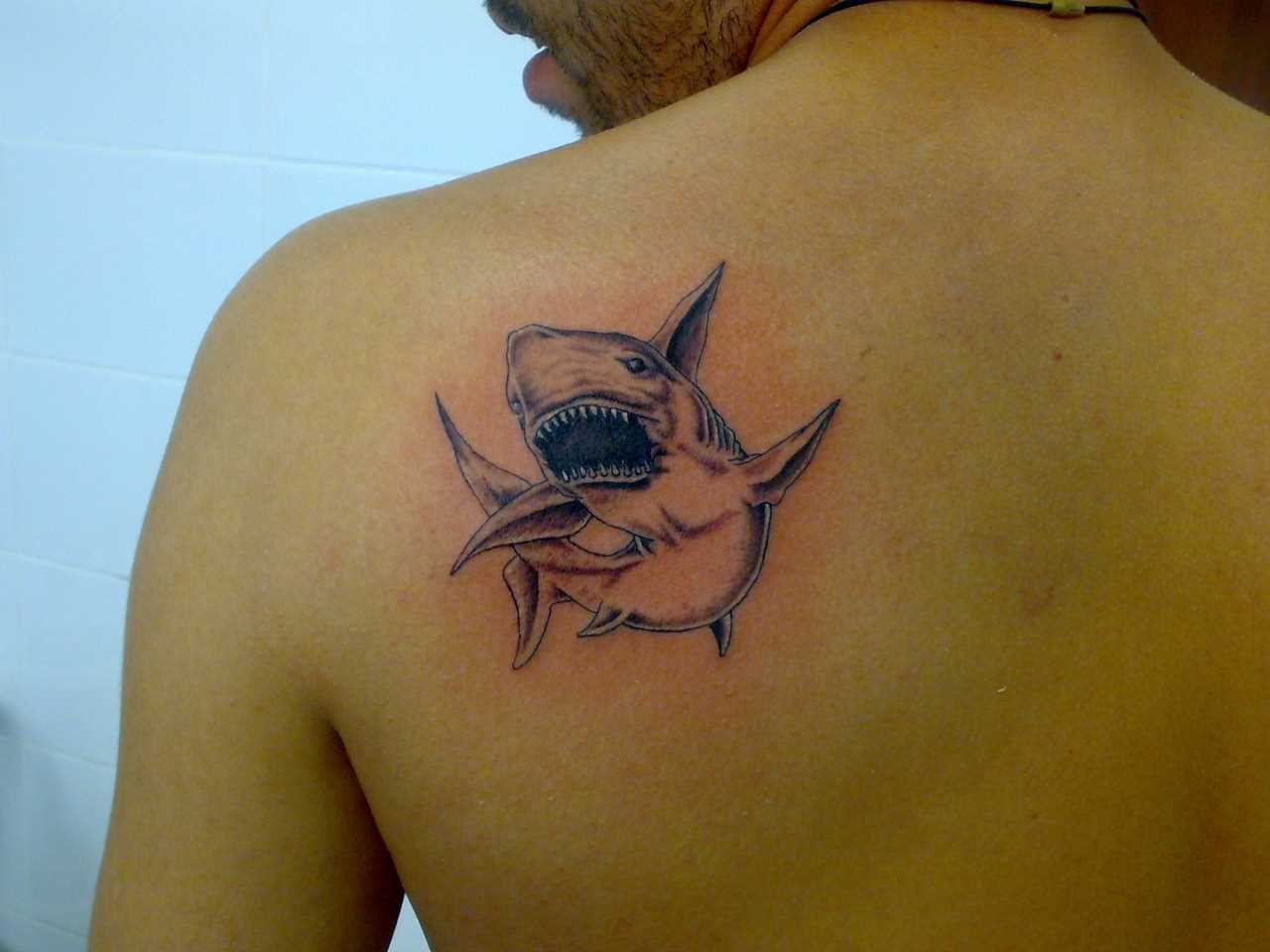 Tattoo blade o cara - de tubarão