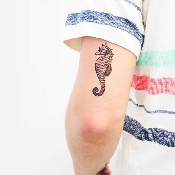 Tattoo do cavalo-marinho na mão de um cara