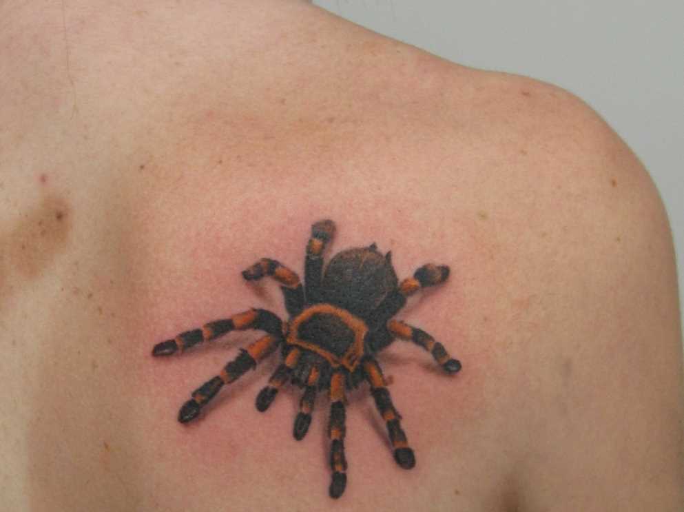Tatuagem blade a menina - aranha