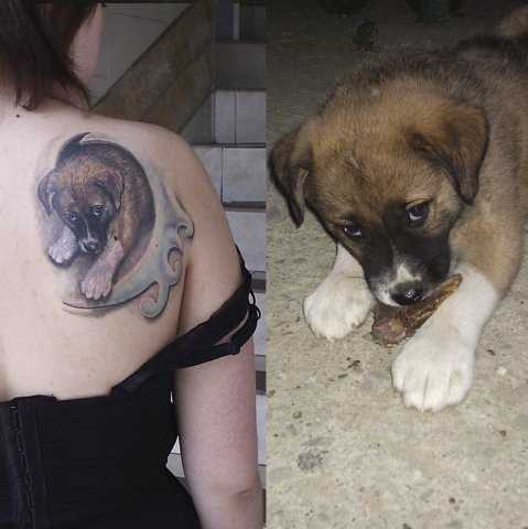 Tatuagem blade a menina - cachorro