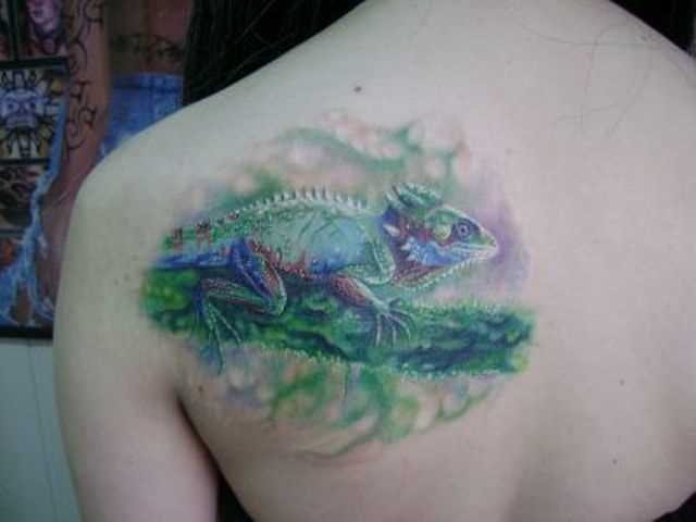 Tatuagem blade a menina - lagarto em um galho