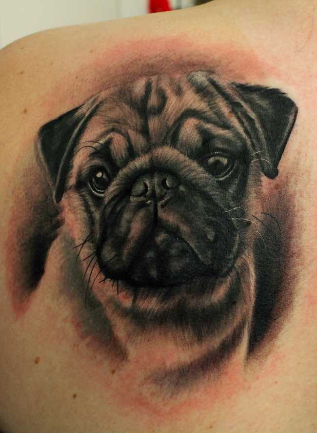 Tatuagem blade cara - a cabeça de um cão