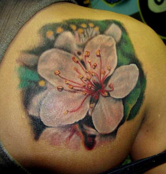Tatuagem blade menina - flor de cerejeira