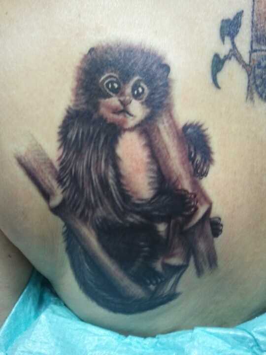 Tatuagem blade menina - macaco na árvore