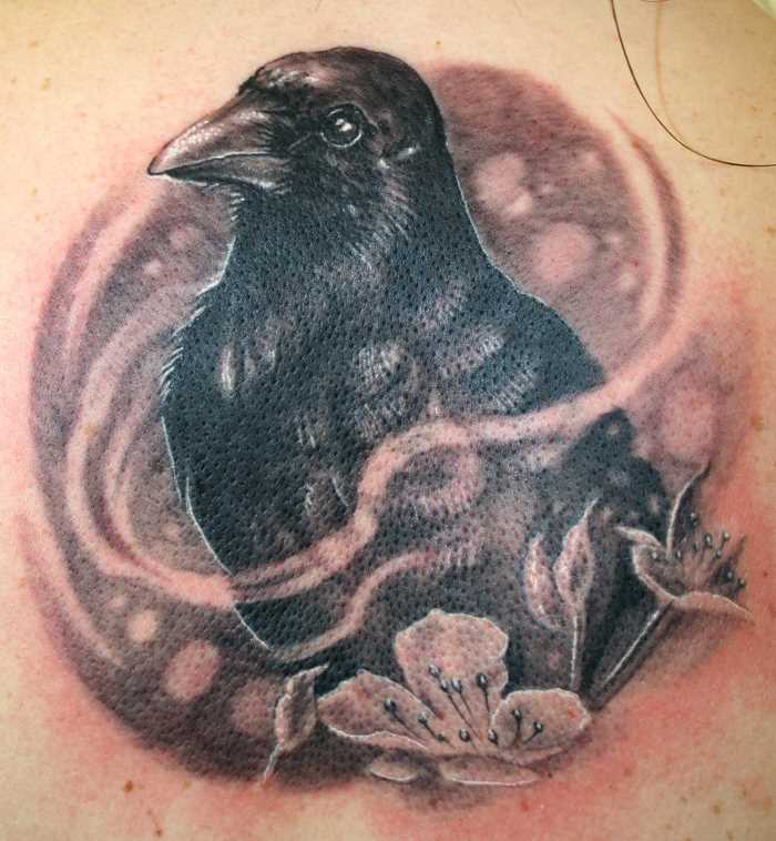 Tatuagem blade meninas - corvo e sakura