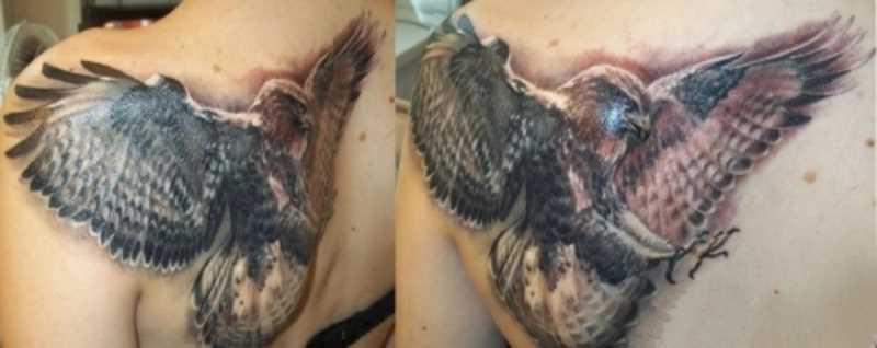Tatuagem blade meninas - falcão