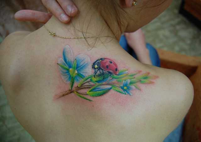 Tatuagem blade meninas - joaninha em um galho