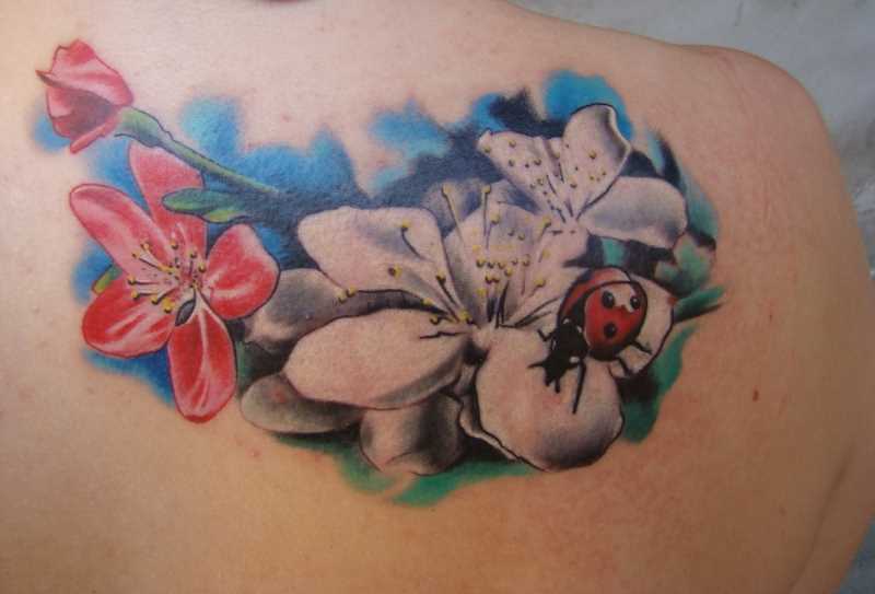 Tatuagem blade meninas - joaninha em uma flor