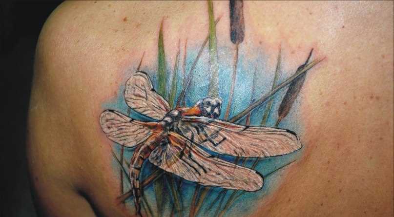 Tatuagem blade meninas - libélula entre os juncos