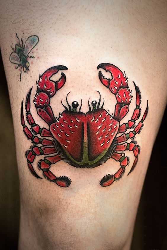 Tatuagem de caranguejo com mosca no quadril cara